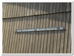 Homepage 2013-05-08_005